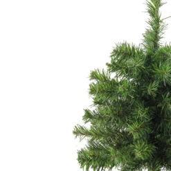 Northlight 18" Medium Canadian Pine Artificial Christmas Tree - Unlit -Christmas Decoration Shop 1dgizfmmwt8nkfrnll4q00mjuqkbwkfq 20469.1588356260