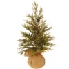 18" Potted Glitter Pine Full Artificial Christmas Tree - Unlit -Christmas Decoration Shop 21hv27yhppkbvy1vbhu7vl52zxxlawhj 90220.1588397435