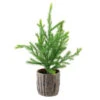 Northlight 12" Potted Medium Artificial Pine Christmas Tree - Unlit -Christmas Decoration Shop 5hip95ydsnqwl35ipyuiki9d00xcj5de 85753.1588359030
