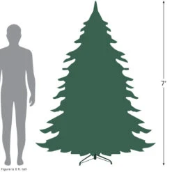 Northlight 7' Full Snowy Delta Pine With Cones Artificial Christmas Tree, Unlit -Christmas Decoration Shop 727 96568.1684933684