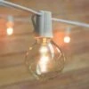 31 FT Shatterproof Light Bulb LED Outdoor Patio String Light Set, 10 Socket E12 C7 Base, White Cord -Christmas Decoration Shop LED1 WHT i1 3a346de5 7764 4c1e 9698 f237439c9255
