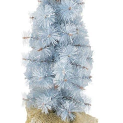 2' Blue Potted Frosted Pine Slim Artificial Christmas Tree - Unlit 5 2' Blue Potted Frosted Pine Slim Artificial Christmas Tree - Unlit -Christmas Decoration Shop arett20est84p24b2 02 68745.1599354341