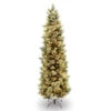 Christmas Central 7 Ft. Carolina Pine Slim Tree With Clear Lights 2 Christmas Central 7 Ft. Carolina Pine Slim Tree With Clear Lights -Christmas Decoration Shop cap3 330 70 72662.1588348986