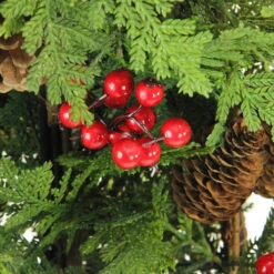 5' Slim Mixed Cedar Pine Entryway Artificial Christmas Tree - Unlit -Christmas Decoration Shop cfyznzqotrg1zrz5gl3npctgqlvsivne 86689.1588397242