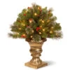 Christmas Central 2' Pre-lit Crestwood Spruce Porch Bush Artificial Christmas Tree, Clear Lights -Christmas Decoration Shop cw7 300 24p 67330.1587644017