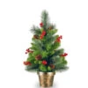 Christmas Central 2' Potted Crestwood Spruce Artificial Christmas Tree – Unlit -Christmas Decoration Shop cw7 701 20 04176.1588344960