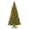 Christmas Central 7' Pre-Lit Aspen Spruce Artificial Christmas Tree, White Lights -Christmas Decoration Shop dnat20ap7 300 70 99538.1588344948