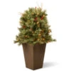36” Pre-lit Glistening Pine Porch Bush With Clear Lights 1 36” Pre-lit Glistening Pine Porch Bush With Clear Lights -Christmas Decoration Shop dnat20gn19 36tlo 53585.1588348970