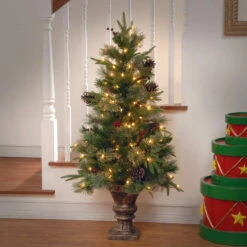 Christmas Central 4' Pre-lit Potted Colonial Entrance Artificial Christmas Tree, Clear Lights 7 Christmas Central 4' Pre-lit Potted Colonial Entrance Artificial Christmas Tree, Clear Lights -Christmas Decoration Shop dnat20peco4 306 40 2 93018.1588344913