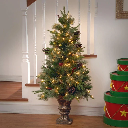 Christmas Central 4' Pre-lit Potted Colonial Entrance Artificial Christmas Tree, Clear Lights 5 Christmas Central 4' Pre-lit Potted Colonial Entrance Artificial Christmas Tree, Clear Lights - Image 3