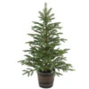 Christmas Central 4' Potted Norwegian Spruce Entrance Artificial Christmas Tree, Unlit -Christmas Decoration Shop dnat20peng4 700 40p 69044.1588348946