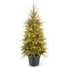 Christmas Central 4' Pre-lit Potted Weeping Spruce Artificial Christmas Tree, Clear Lights -Christmas Decoration Shop dnat20pews3e28090373e2809040 19148.1588348947