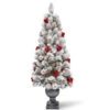 Christmas Central 5' Pre-lit Potted Snowy Bristle Pine Entrance Artificial Christmas Tree – Clear Lights -Christmas Decoration Shop dnat20snp7 309 50 79210.1588348971