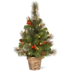 Christmas Central 2' Pre-lit Potted Vibrantly Colored Crestwood Spruce Artificial Christmas Tree – Clear Lights