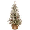 Christmas Central 3' Pre-Lit Dunhill Fir Artificial Christmas Tree - Warm White LED Lights -Christmas Decoration Shop dnat duf 300 30 b1 60346.1587645158
