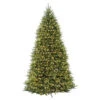 Christmas Central 10’ Pre-Lit Dunhill Fir Artificial Christmas Tree - Clear Lights -Christmas Decoration Shop dnat duh 100lo s 1 47968.1631812952