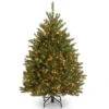 Christmas Central 4’ Pre-Lit Dunhill Fir Artificial Christmas Tree - Clear Lights -Christmas Decoration Shop dnat duh 40lo 1 38160.1665087793