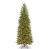 Christmas Central 10’ Pre-lit Dunhill Fir Slim Artificial Christmas Tree –Clear Lights -Christmas Decoration Shop dnat duslh1 100lo 1 32089.1631812646