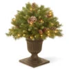 Christmas Central 2' Pre-lit Frosted Berry Porch Artificial Christmas Tree, Clear Lights -Christmas Decoration Shop dnat frb3 24plo 1 68412.1644108677