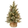 2' Pre-Lit Full Glittery Bristle Pine Artificial Christmas Tree - Warm White LED Lights -Christmas Decoration Shop dnat gb3 392 20 b1 55442.1587645162