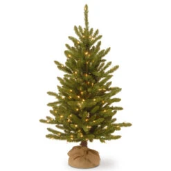 Christmas Central 4โ Pre-lit Kensington Burlap Artificial Christmas Tree, Clear Lights