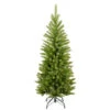 Christmas Central 4’ Kingswood Fir Pencil Artificial Christmas Tree, Unlit -Christmas Decoration Shop dnat kw7 500 40 01 09886.1664726382
