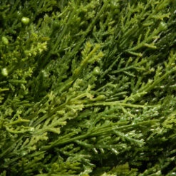 Christmas Central 4.5' Potted Juniper Spiral Slim Artificial Christmas Tree - Unlit 5 Christmas Central 4.5' Potted Juniper Spiral Slim Artificial Christmas Tree - Unlit -Christmas Decoration Shop dnat lcysp4 710 54 2 26202.1587645158