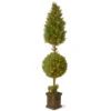 Christmas Central 6' Pre-lit Potted Juniper Spiral Pencil Artificial Christmas Tree - Clear Lights -Christmas Decoration Shop dnat lcyt4 302 72 1 02748.1587645163