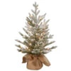 Christmas Central 2.5' Pre-Lit Potted Snowy Cambridge Medium Artificial Christmas Tree, White LED Lights 1 Christmas Central 2.5' Pre-Lit Potted Snowy Cambridge Medium Artificial Christmas Tree, White LED Lights -Christmas Decoration Shop dnat pecaf1 306 25b1 1 36627.1665346763
