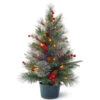 Christmas Central 2' Pre-lit Potted Colonial Fir Medium Artificial Christmas Tree, White LED Lights -Christmas Decoration Shop dnat peco1 300 20 b1 1 64362.1670489791