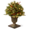 Christmas Central 2' Pre-lit Potted Colonial Porch Bush Artificial Christmas Tree, Clear Lights -Christmas Decoration Shop dnat peco1 300 24p 1 08078.1631812352
