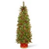 Christmas Central 6' Pre-Lit Potted Pencil Colonial Fir Artificial Christmas Half Wall Tree, Clear Lights 1 Christmas Central 6' Pre-Lit Potted Pencil Colonial Fir Artificial Christmas Half Wall Tree, Clear Lights -Christmas Decoration Shop dnat peco8 361 60ht 1 09317.1587645164