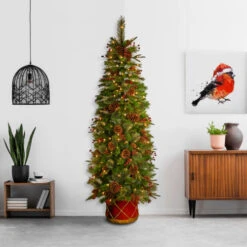Christmas Central 6' Pre-Lit Potted Pencil Colonial Fir Artificial Christmas Half Wall Tree, Clear Lights -Christmas Decoration Shop dnat peco8 361 60ht 2 99243.1587645164