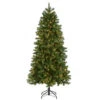Christmas Central 6.5' Pre-Lit Downswept Douglas Fir Artificial Christmas Tree, Clear Lights -Christmas Decoration Shop dnat pedd1 323 65 1 33031.1631812346