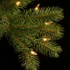 Christmas Central 7.5' Pre-Lit Douglas Fir Artificial Christmas Tree, Clear Lights -Christmas Decoration Shop dnat pedd1 323 75 3 94284.1631812955