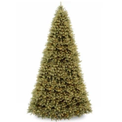12 Ft. Downswept Douglas(R) Fir Tree With Clear Lights