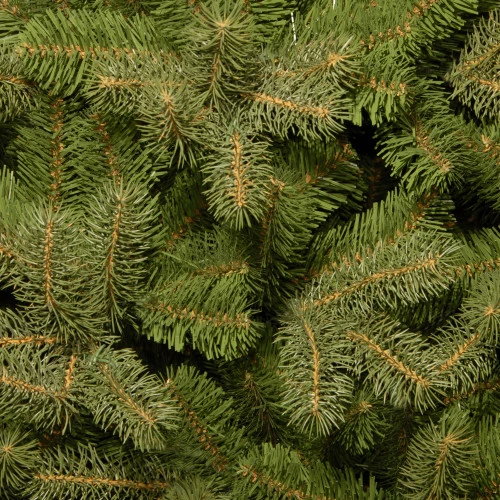 10’ Downswept Fir Artificial Christmas Tree - Unlit 4 10’ Downswept Fir Artificial Christmas Tree - Unlit - Image 2
