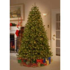 Christmas Central 6’ Pre-Lit Downswept Douglas Fir Artificial Christmas Tree, Clear Lights -Christmas Decoration Shop dnat pedd3 312 60 4 02308.1670490065