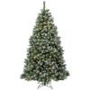 6.5’ Pre-Lit Finley Pine Artificial Christmas Tree - Clear Lights -Christmas Decoration Shop dnat pefi38 307 65 12871.1587645165