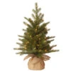 Christmas Central 2' Pre-Lit Potted Nordic Spruce Full Artificial Christmas Tree, White Lights -Christmas Decoration Shop dnat pens1 333 20 1 1 67750.1587645144