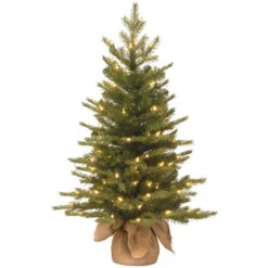Christmas Central 3' Pre-Lit Potted Nordic Spruce Medium Artificial Christmas Tree, Clear Lights