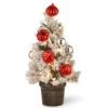 Christmas Central 2' Pre-Lit Potted Snowy Bristle Pine Medium Artificial Tabletop Christmas Tree, White LED Lights -Christmas Decoration Shop dnat snp7 308 20 b 17416.1665580040