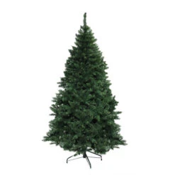 Northlight 6.5' Buffalo Fir Full Artificial Christmas Tree - Unlit