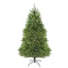 Northlight 6.5' Pre-Lit Green Medium Northern Pine Artificial Christmas Tree - Warm Clear LED Lights 1 Northlight 6.5' Pre-Lit Green Medium Northern Pine Artificial Christmas Tree - Warm Clear LED Lights -Christmas Decoration Shop ewkxcd45rfj9qwguwr9k1q98wh1ybxcy 54565.1588397069