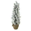 Northlight 2ft Potted Flocked Mini Pine Slim Christmas Tree With Berries - Unlit 1 Northlight 2ft Potted Flocked Mini Pine Slim Christmas Tree With Berries - Unlit -Christmas Decoration Shop iufjbtciuvh8sdlatpquizke0rqpf1o2 08148.1588357296