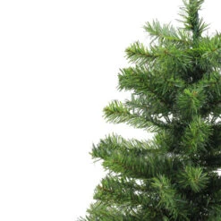 Northlight 2' Medium Canadian Pine Artificial Christmas Tree - Unlit -Christmas Decoration Shop j4dqfq8mnros6hr5k49xrbsc8kh2a3yo 75038.1665433001