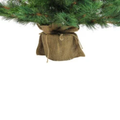 Northlight 3' Potted New Carolina Spruce Medium Artificial Christmas Tree - Unlit -Christmas Decoration Shop jgpo41pjmuyq7fyavzmwkjboouyif6kn 56164.1665610423