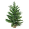 Northlight 2' Potted Mixed Cashmere Pine Medium Artificial Christmas Tree, Unlit -Christmas Decoration Shop kdishopfktf1gep6vvndqjuwathvudb8 99141.1665433297