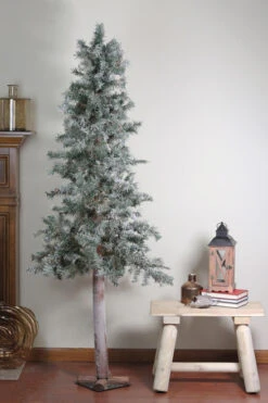 7' Unlit Slim Frosted And Glittered Woodland Alpine Artificial Christmas Tree -Christmas Decoration Shop m3jdt5navefpamgqla6dyppfcjsuau6o 23308.1588349969
