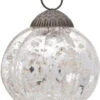 3" Silver Posey Mercury Glass Pumpkin Ornament Christmas Decoration